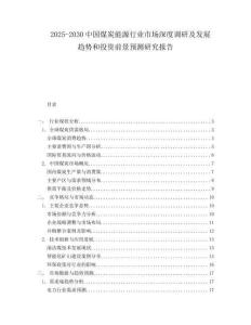2025-2030中國煤炭能源行業(yè)市場深度調(diào)研及發(fā)展趨勢和投資前景預(yù)測研究報(bào)告