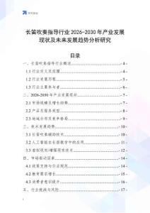 長笛吹奏指導行業(yè)2026-2030年產(chǎn)業(yè)發(fā)展現(xiàn)狀及未來發(fā)展趨勢分析研究