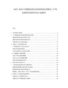 2025-2030中國煤炭清潔高效利用技術(shù)煤化工產(chǎn)業(yè)發(fā)展研究投資布局計(jì)劃報(bào)告