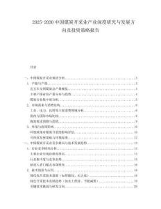 2025-2030中國煤炭開采業(yè)產(chǎn)業(yè)深度研究與發(fā)展方向及投資策略報(bào)告