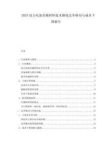 2025動力電池負(fù)極材料技術(shù)路線競爭格局與成本下降報告