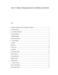 2025中國航天科技商業(yè)化應(yīng)用與投資機(jī)會分析報告