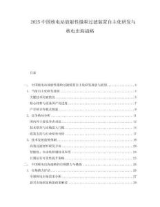 2025中國(guó)核電站放射性微粒過濾裝置自主化研發(fā)與核電出海戰(zhàn)略