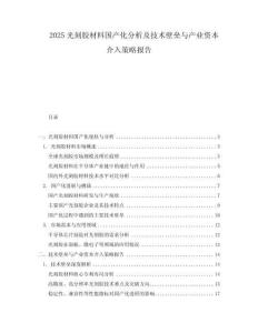 2025光刻膠材料國產(chǎn)化分析及技術(shù)壁壘與產(chǎn)業(yè)資本介入策略報告