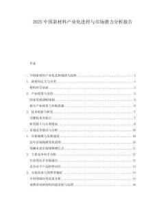 2025中國(guó)新材料產(chǎn)業(yè)化進(jìn)程與市場(chǎng)潛力分析報(bào)告