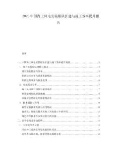 2025中國海上風(fēng)電安裝船隊擴(kuò)建與施工效率提升報告