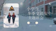 小學(xué)生冬季交通安全主題班會(huì)