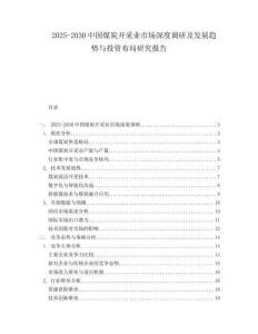 2025-2030中國煤炭開采業(yè)市場深度調(diào)研及發(fā)展趨勢與投資布局研究報告
