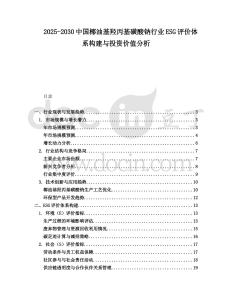 2025-2030中國椰油基羥丙基磺酸鈉行業(yè)ESG評價體系構(gòu)建與投資價值分析
