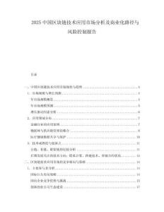 2025中國區(qū)塊鏈技術(shù)應(yīng)用市場分析及商業(yè)化路徑與風(fēng)險(xiǎn)控制報(bào)告