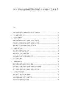 2025智能電表數(shù)據(jù)采集系統(tǒng)信息安全防護(hù)方案報(bào)告