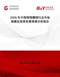 2026年中國預(yù)埋槽鋼行業(yè)市場規(guī)模及投資前景預(yù)測分析報(bào)告