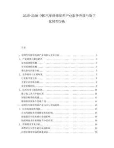 2025-2030中國(guó)汽車維修保養(yǎng)產(chǎn)業(yè)服務(wù)升級(jí)與數(shù)字化轉(zhuǎn)型分析