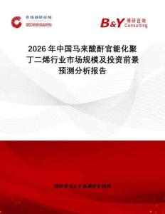 2026年中國馬來酸酐官能化聚丁二烯行業(yè)市場(chǎng)規(guī)模及投資前景預(yù)測(cè)分析報(bào)告