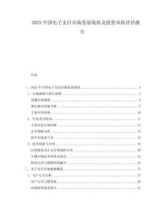 2025中國電子支付市場發(fā)展現(xiàn)狀及投資風(fēng)險評估報告