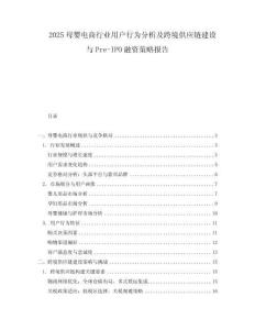 2025母嬰電商行業用戶行為分析及跨境供應鏈建設與Pre-IPO融資策略報告