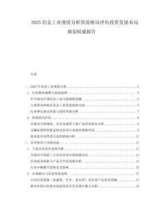 2025冶金工業(yè)現(xiàn)狀分析供需格局評估投資發(fā)展布局規(guī)劃權威報告