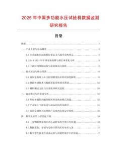 2025年中國多功能水壓試驗機數據監測研究報告