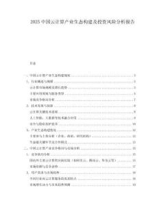 2025中國云計算產(chǎn)業(yè)生態(tài)構(gòu)建及投資風(fēng)險分析報告