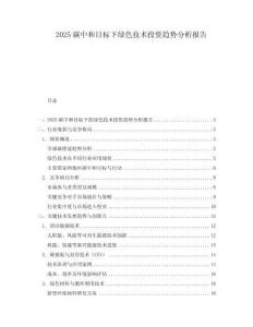 2025碳中和目標(biāo)下綠色技術(shù)投資趨勢(shì)分析報(bào)告