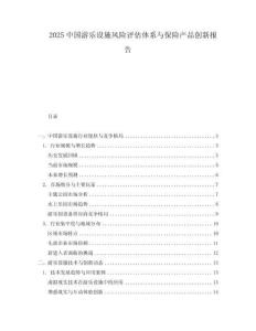 2025中國(guó)游樂(lè)設(shè)施風(fēng)險(xiǎn)評(píng)估體系與保險(xiǎn)產(chǎn)品創(chuàng)新報(bào)告