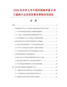 2026及未來5年中國間硝基苯基-β羥乙基砜行業(yè)投資前景及策略咨詢報告