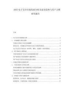 2025電子支付市場發(fā)展分析及前景趨勢與用戶習(xí)慣研究報告