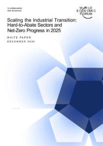 2025年凈零進(jìn)展報告-