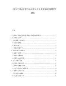 2025中國云計算市場規(guī)模分析及未來發(fā)展預(yù)測研究報告