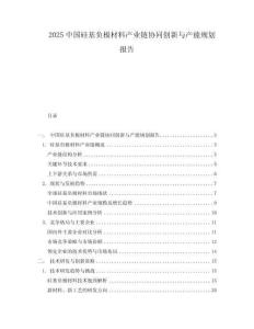 2025中國硅基負極材料產(chǎn)業(yè)鏈協(xié)同創(chuàng)新與產(chǎn)能規(guī)劃報告