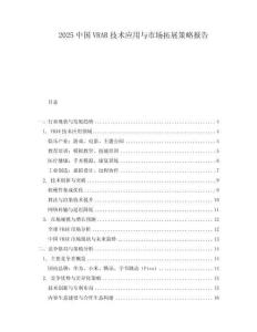 2025中國VRAR技術(shù)應用與市場拓展策略報告