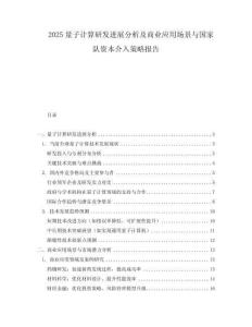 2025量子計算研發(fā)進展分析及商業(yè)應用場景與國家隊資本介入策略報告