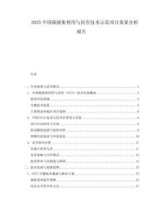 2025中國碳捕集利用與封存技術示范項目效果分析報告