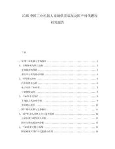 2025中國工業(yè)機(jī)器人市場供需狀況及國產(chǎn)替代進(jìn)程研究報告