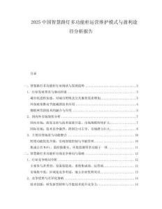 2025中國(guó)智慧路燈多功能桿運(yùn)營(yíng)維護(hù)模式與盈利途徑分析報(bào)告