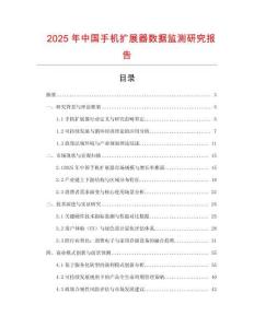 2025年中國手機(jī)擴(kuò)展器數(shù)據(jù)監(jiān)測研究報(bào)告