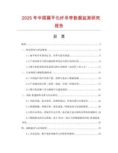 2025年中國扁平化纖吊帶數(shù)據(jù)監(jiān)測研究報告
