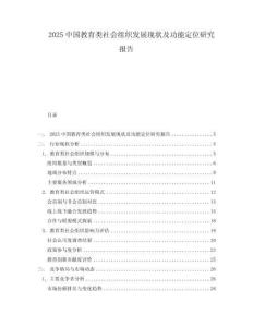 2025中國(guó)教育類社會(huì)組織發(fā)展現(xiàn)狀及功能定位研究報(bào)告