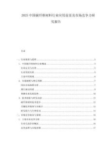 2025中國(guó)碳纖維材料行業(yè)應(yīng)用前景及市場(chǎng)競(jìng)爭(zhēng)力研究報(bào)告