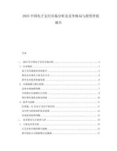 2025中國電子支付市場分析及競爭格局與投資價值報告