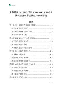 電子樂器DIY套件行業(yè)2026-2030年產(chǎn)業(yè)發(fā)展現(xiàn)狀及未來發(fā)展趨勢分析研究