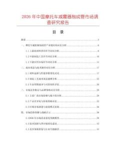 2026年中國摩托車減震器制成管市場調(diào)查研究報告