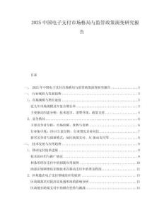 2025中國電子支付市場格局與監(jiān)管政策演變研究報告