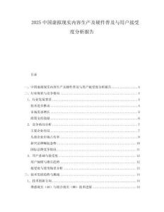 2025中國虛擬現(xiàn)實內(nèi)容生產(chǎn)及硬件普及與用戶接受度分析報告