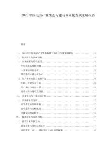 2025中國電競產業(yè)生態(tài)構建與商業(yè)化變現(xiàn)策略報告