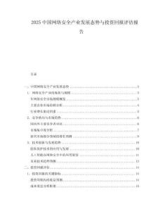 2025中國網(wǎng)絡(luò)安全產(chǎn)業(yè)發(fā)展態(tài)勢與投資回報(bào)評估報(bào)告