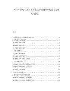 2025中國電子支付市場現(xiàn)狀分析及未來趨勢與競爭格局報告