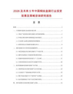 2026及未來5年中國鋼絲盤刷行業(yè)投資前景及策略咨詢研究報告