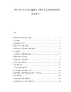 2025中國智慧城市建設(shè)項(xiàng)目評估及實(shí)施路徑與風(fēng)險(xiǎn)規(guī)避報(bào)告