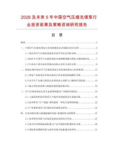 2026及未來5年中國空氣壓縮充填泵行業(yè)投資前景及策略咨詢研究報告